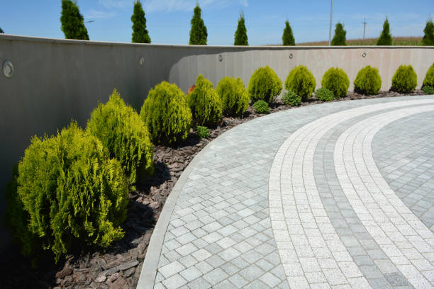 Reasons to Select Us for Your Driveway Paving Requirements in New Hope, MS